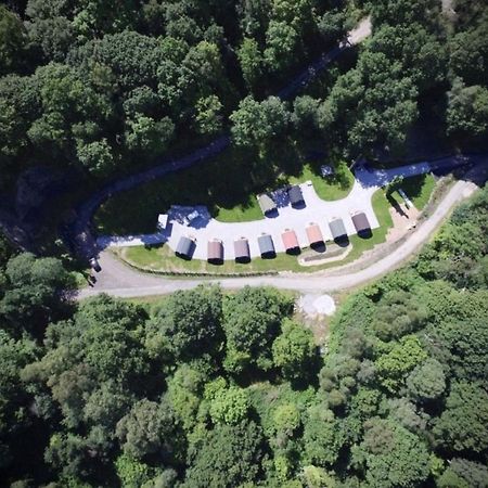 Forest Pod 4 Pet Friendly Neath Exterior foto